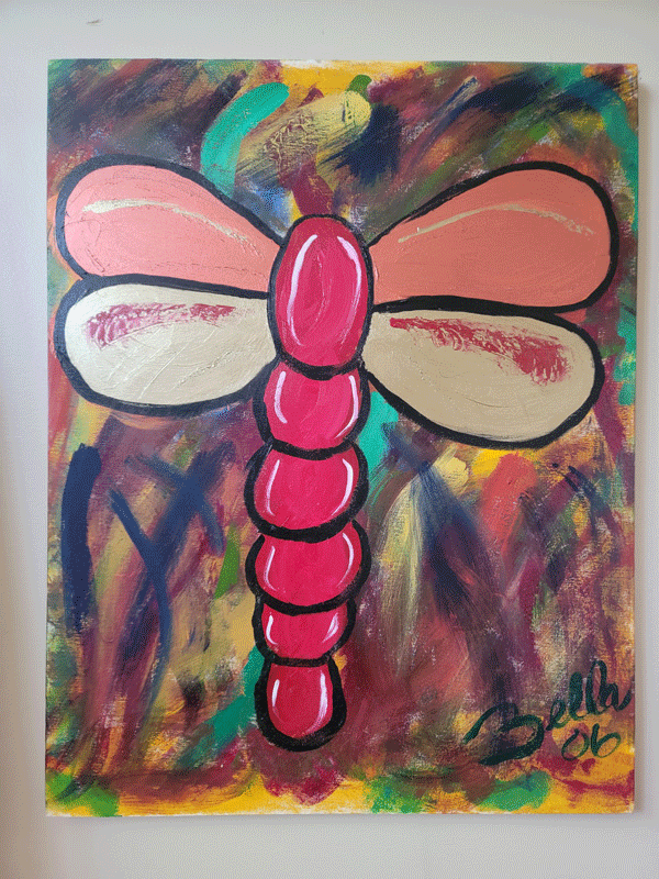 Red-Dragon-Fly